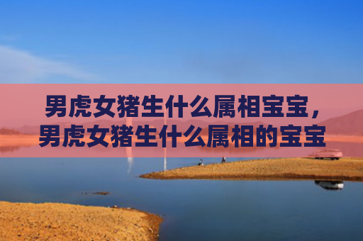 男虎女猪生什么属相宝宝，男虎女猪生什么属相的宝宝好