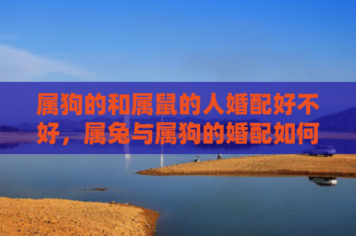 属狗的和属鼠的人婚配好不好，属兔与属狗的婚配如何相处，属兔和属狗可以在一起吗