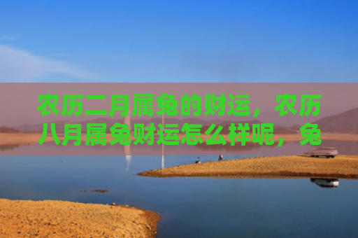 农历二月属兔的财运，农历八月属兔财运怎么样呢，兔年八月