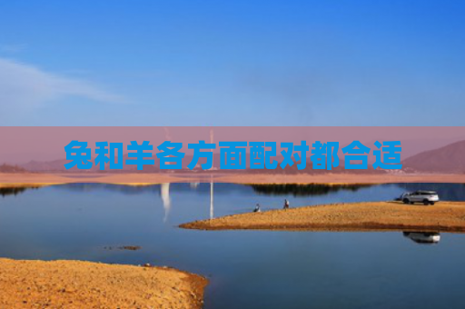 兔和羊各方面配对都合适
