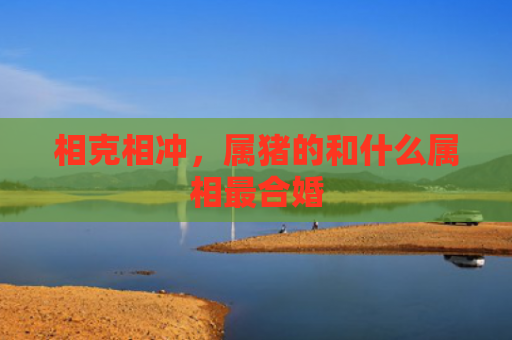 相克相冲，属猪的和什么属相最合婚