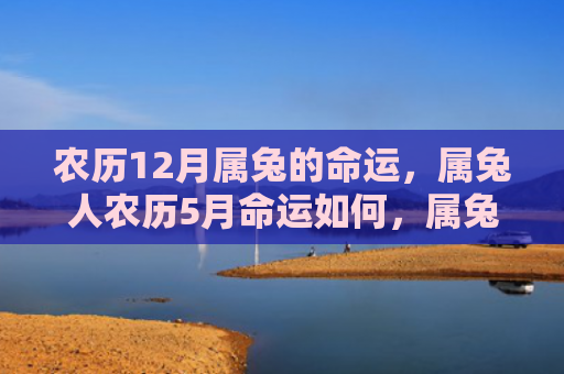 农历12月属兔的命运，属兔人农历5月命运如何，属兔人在农历5月的运势