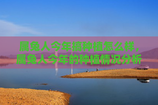 属兔人今年搞种植怎么样，属兔人今年的种植情况分析