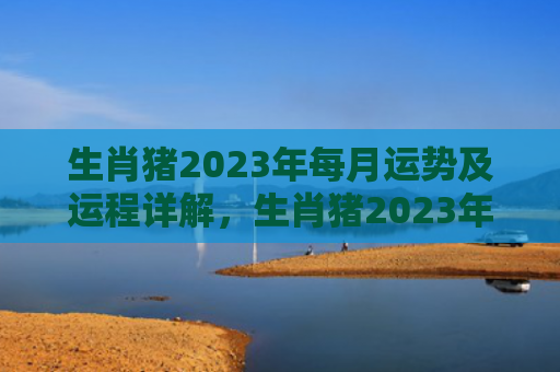 生肖猪2023年每月运势及运程详解，生肖猪2023年运程如何
