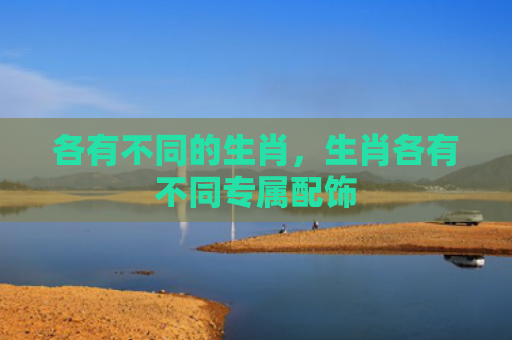 各有不同的生肖，生肖各有不同专属配饰