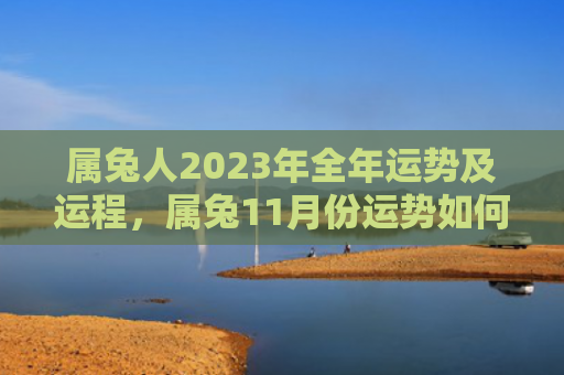属兔人2023年全年运势及运程，属兔11月份运势如何，属兔人11月财运如何