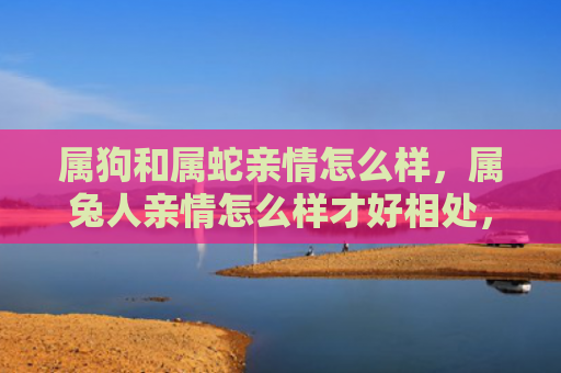 属狗和属蛇亲情怎么样，属兔人亲情怎么样才好相处，如何与属兔人建立良好的亲情关系