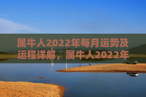 属牛人2022年每月运势及运程详解，属牛人2022年8月如何提升财运