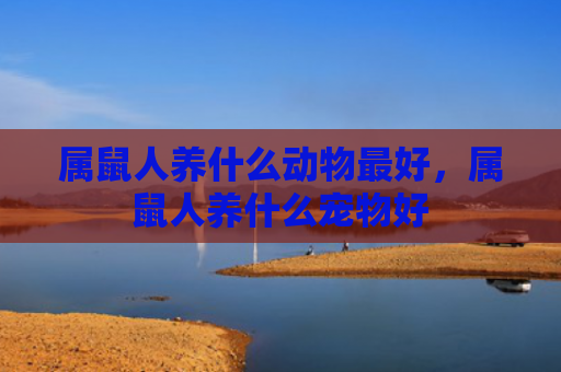 属鼠人养什么动物最好，属鼠人养什么宠物好