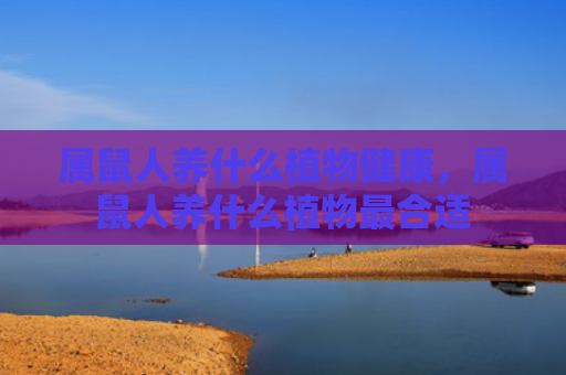属鼠人养什么植物健康，属鼠人养什么植物最合适