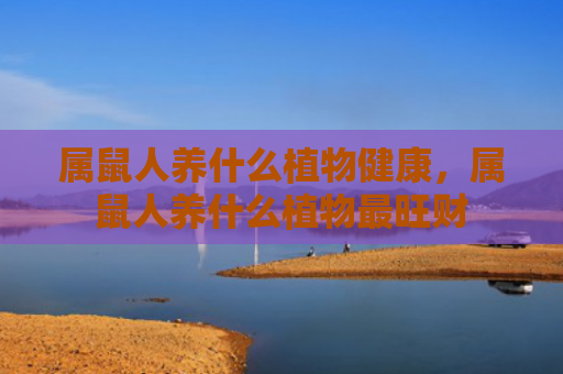 属鼠人养什么植物健康，属鼠人养什么植物最旺财