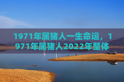 1971年属猪人一生命运，1971年属猪人2022年整体运势怎么样