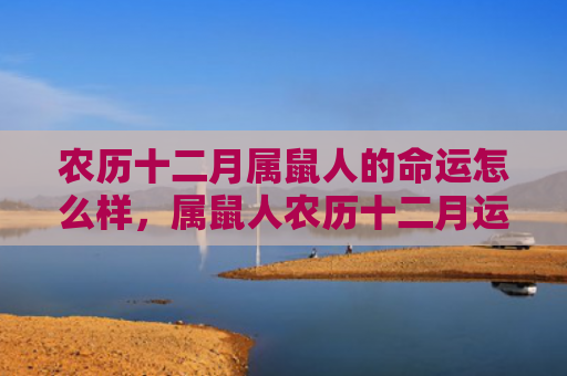 农历十二月属鼠人的命运怎么样，属鼠人农历十二月运势