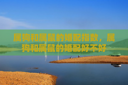 属狗和属鼠的婚配指数，属狗和属鼠的婚配好不好