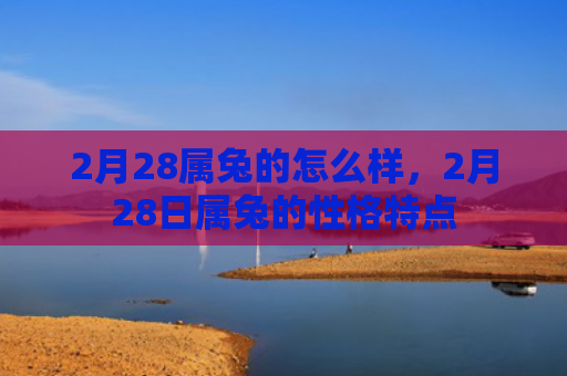 2月28属兔的怎么样，2月28日属兔的性格特点