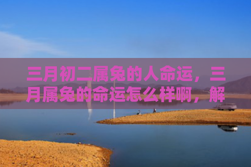 三月初二属兔的人命运，三月属兔的命运怎么样啊，解析三月属兔的命运