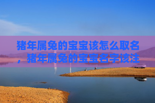 猪年属兔的宝宝该怎么取名，猪年属兔的宝宝名字该注意哪些方面