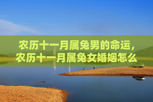 农历十一月属兔男的命运，农历十一月属兔女婚姻怎么样，农历十一月属兔女的婚姻算命解析