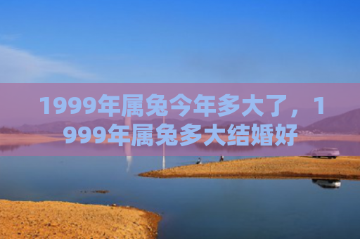 1999年属兔今年多大了，1999年属兔多大结婚好