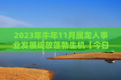 2023年牛年11月属龙人事业发展绽放蓬勃生机【今日已更新】