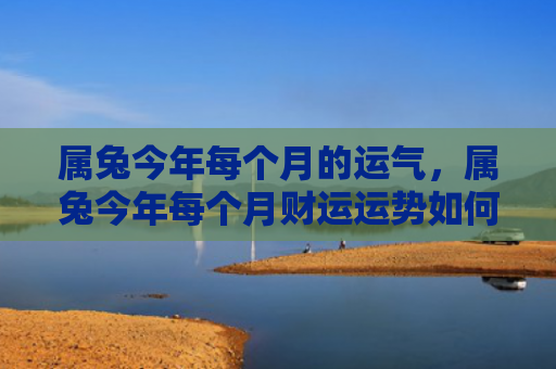 属兔今年每个月的运气，属兔今年每个月财运运势如何，属兔的今年经济状况如何