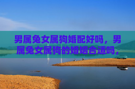男属兔女属狗婚配好吗，男属兔女属狗的婚姻合适吗，男属兔女属狗的婚姻观察