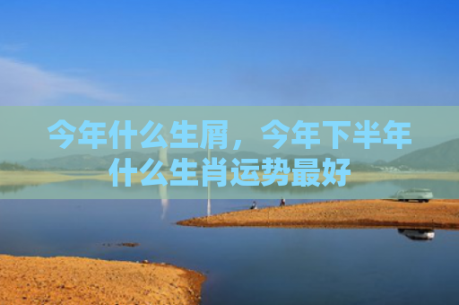 今年什么生屑，今年下半年什么生肖运势最好