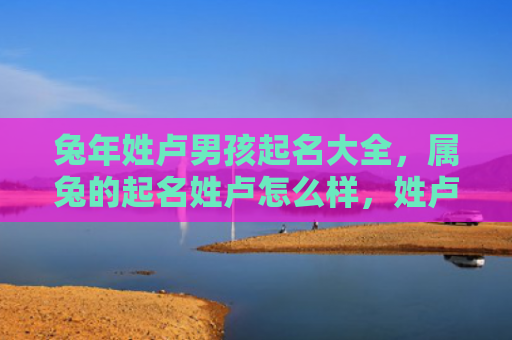 兔年姓卢男孩起名大全，属兔的起名姓卢怎么样，姓卢的兔子该起什么名字