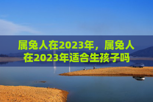 属兔人在2023年，属兔人在2023年适合生孩子吗