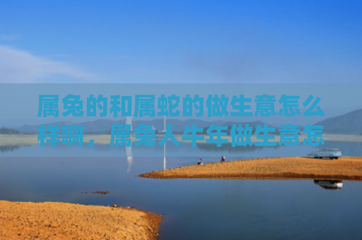 属兔的和属蛇的做生意怎么样啊，属兔人牛年做生意怎么样，属兔人牛年生意运势如何