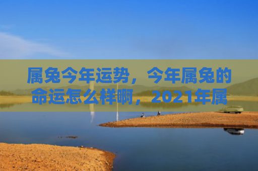 属兔今年运势，今年属兔的命运怎么样啊，2021年属兔人运势大解析