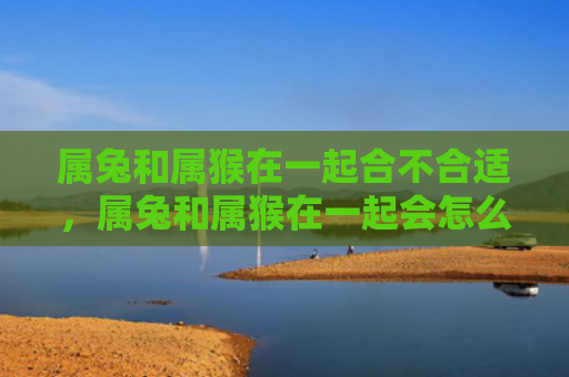 属兔和属猴在一起合不合适，属兔和属猴在一起会怎么样