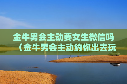 金牛男会主动要女生微信吗（金牛男会主动约你出去玩吗）