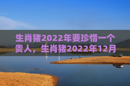生肖猪2022年要珍惜一个贵人，生肖猪2022年12月整月运势
