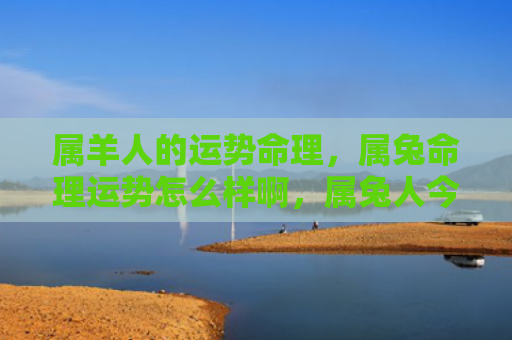 属羊人的运势命理，属兔命理运势怎么样啊，属兔人今年财运如何