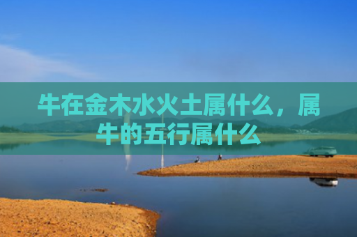 牛在金木水火土属什么，属牛的五行属什么