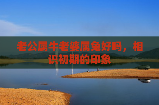 老公属牛老婆属兔好吗，相识初期的印象