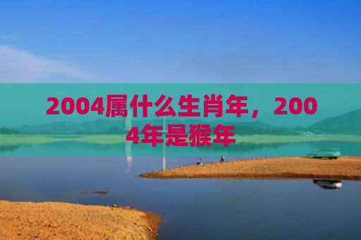 2004属什么生肖年，2004年是猴年