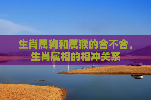 生肖属狗和属猴的合不合，生肖属相的相冲关系