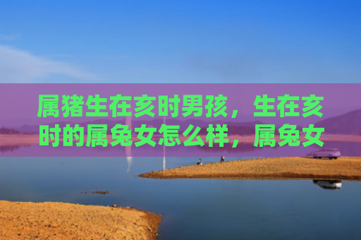 属猪生在亥时男孩，生在亥时的属兔女怎么样，属兔女的性格和特点