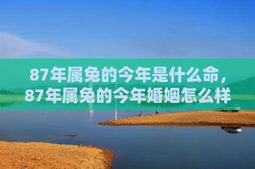 87年属兔的今年是什么命，87年属兔的今年婚姻怎么样女，解读87年属兔女婚姻现状