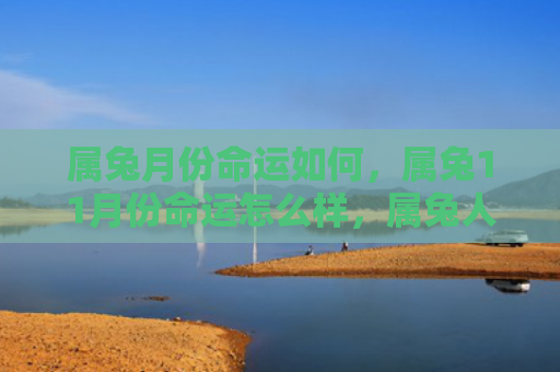 属兔月份命运如何，属兔11月份命运怎么样，属兔人11月份运势如何