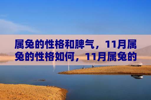 属兔的性格和脾气，11月属兔的性格如何，11月属兔的特点