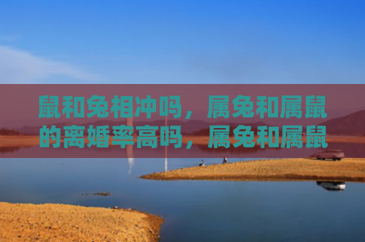 鼠和兔相冲吗，属兔和属鼠的离婚率高吗，属兔和属鼠在婚姻中合适吗