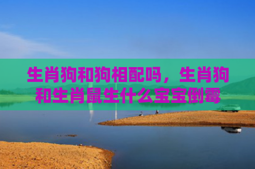 生肖狗和狗相配吗，生肖狗和生肖鼠生什么宝宝倒霉