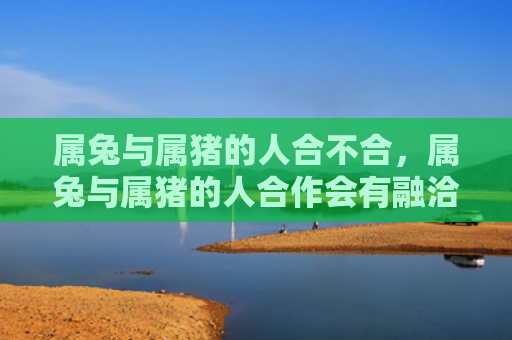 属兔与属猪的人合不合，属兔与属猪的人合作会有融洽的人际关系吗，属兔和属猪携手合作