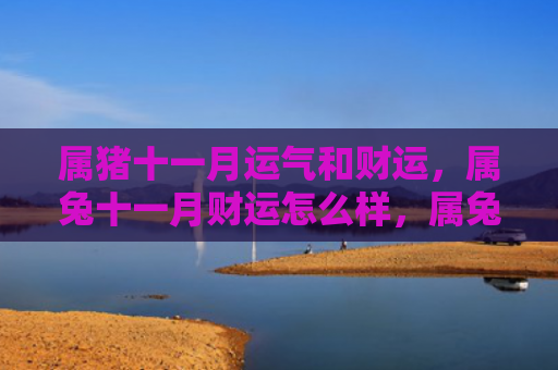 属猪十一月运气和财运，属兔十一月财运怎么样，属兔的人11月份财运如何