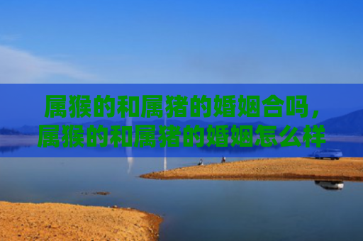 属猴的和属猪的婚姻合吗，属猴的和属猪的婚姻怎么样