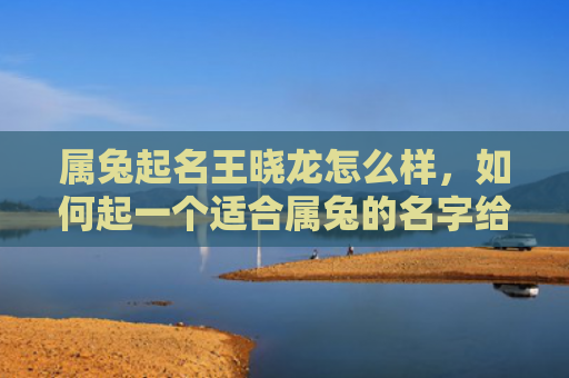 属兔起名王晓龙怎么样，如何起一个适合属兔的名字给王晓龙
