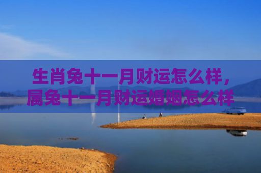 生肖兔十一月财运怎么样，属兔十一月财运婚姻怎么样，属兔人11月份的财运和婚姻状况